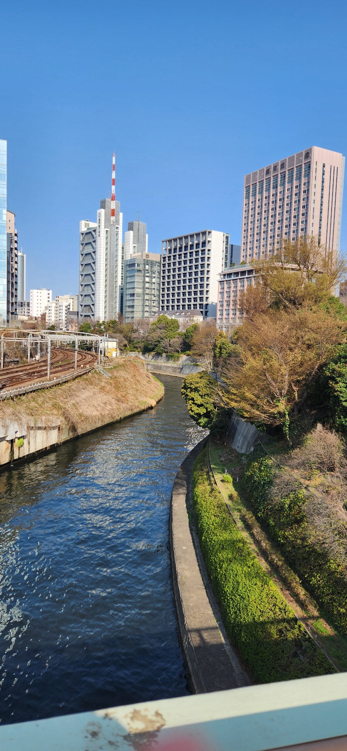 私たちが当事者になるとき~臨床倫理学会に参加して~